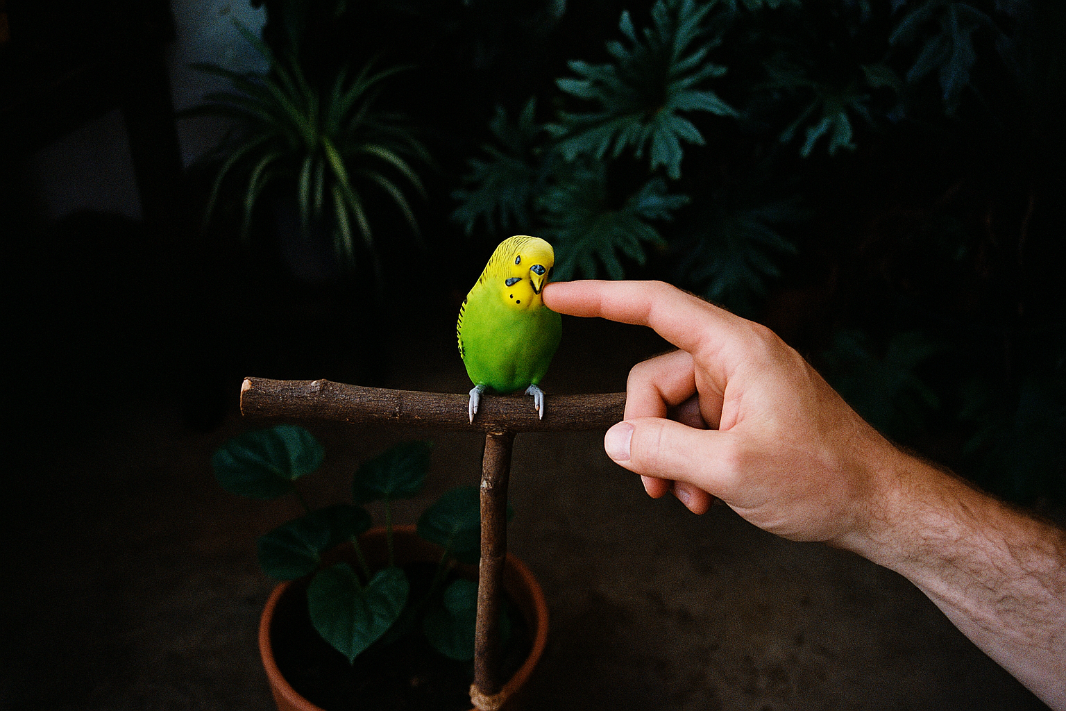 Embracing Birds as Pets: The Unnoticed Perks of Feathered Companions