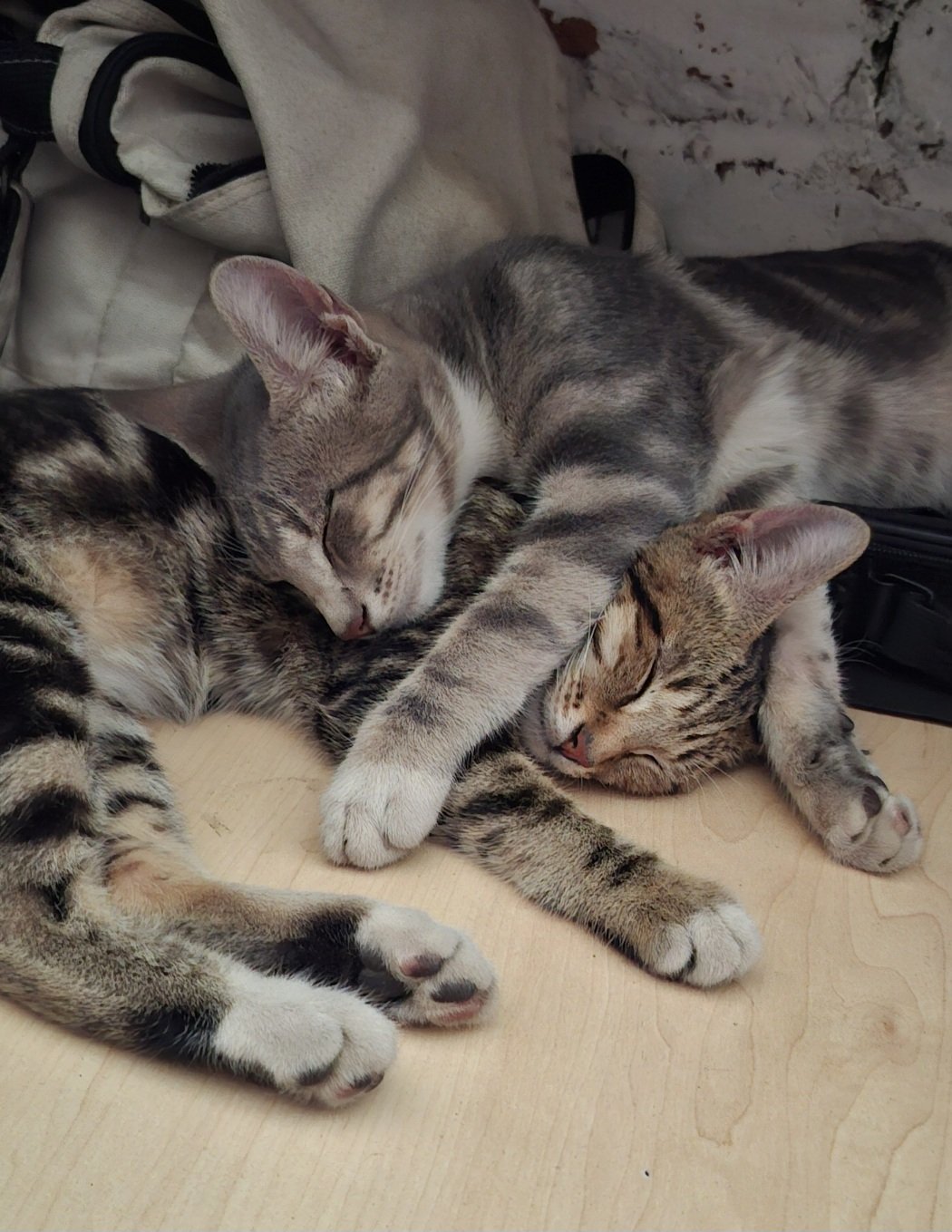 Pepsie & Cola